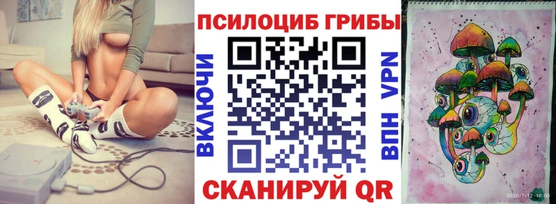 Псилоцибиновые грибы прущие грибы  KRAKEN ссылки  Альметьевск 